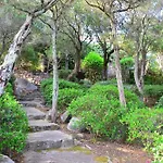 Aironi Del Porto *