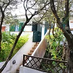 Aironi Del Porto *