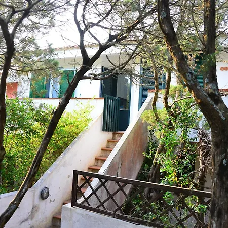 Aironi Del Porto *