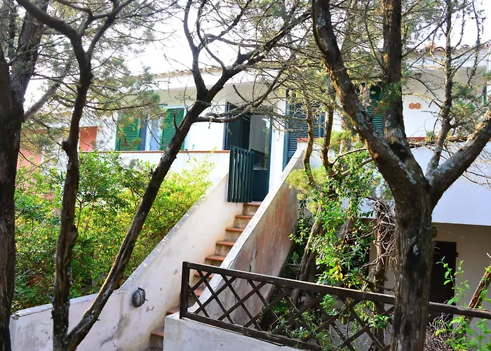 Aironi Del Porto *